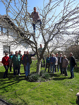 Banner Winterschnitt