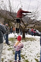 Logo Praxisseminar „Winterschnitt an Obstgehölzen“ mit Michael Gigler
