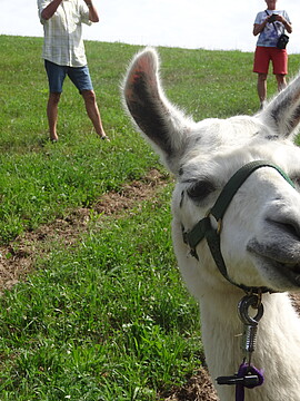 Banner Obst und Gartenbauverein Ferienprogramm