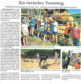 Banner Ferienprogramm Lama-Trekking