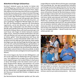 Banner „Blütenfest“