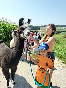 Banner Ferienprogramm Lama-Trekking