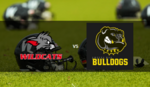 Logo Seniors Heimspiel gegen die Amberg Mad Bulldogs